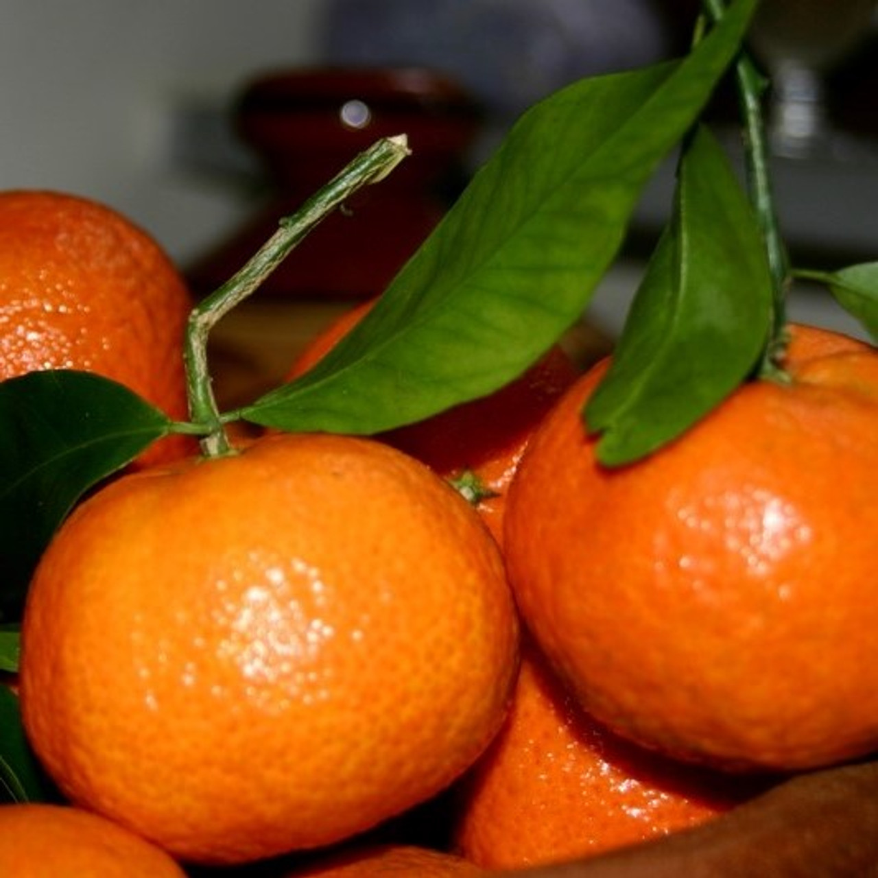 Tangerines used in our Balsamic Vinegar